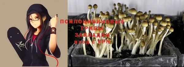 мет Алексин