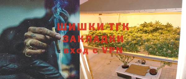 мет Алексин