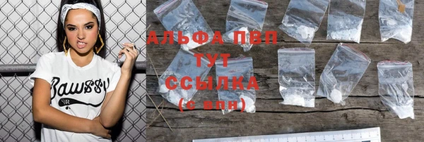 мет Алексин