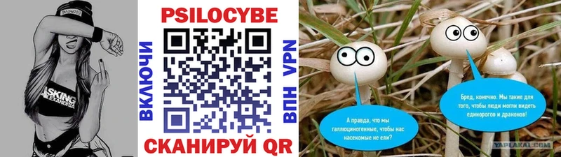 закладка  Славск  Псилоцибиновые грибы Psilocybine cubensis 